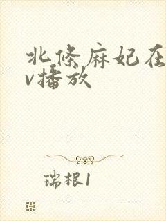 北条麻妃在线av播放