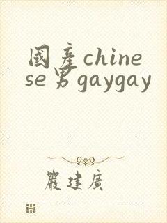 国产chinese男gaygay