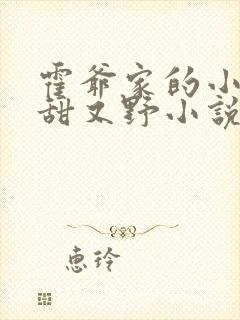 霍爷家的小祖宗甜又野小说txt