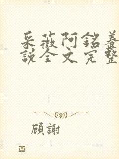 采薇阿铭养父小说全文完整版