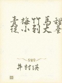青梅竹马甜宠文从小到大养成封面