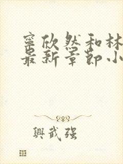 宁欣然和林峰的最新章节小说名字封面