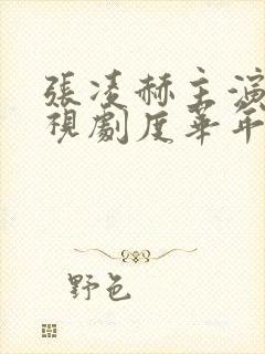 张凌赫主演的电视剧度华年封面