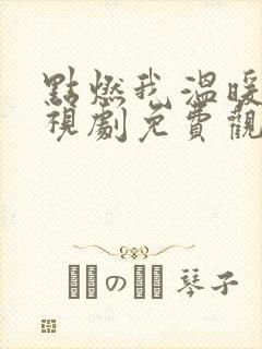 点燃我温暖你电视剧免费观看高清