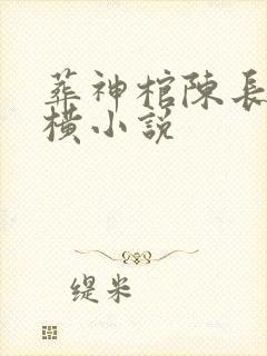 葬神棺陈长安纵横小说
