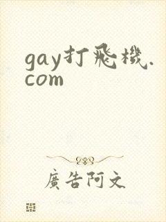 gay打飞机.com