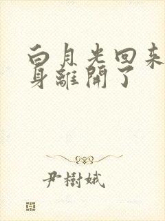 白月光回来后替身离开了