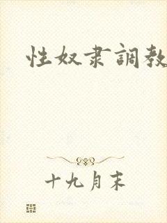 性奴隶调教文