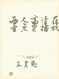 两人高清在线观看免费播放电视剧网
