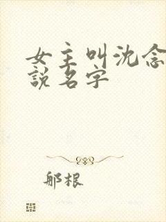 女主叫沈念的小说名字封面