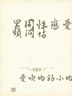 男同性恋爱爱视频网站
