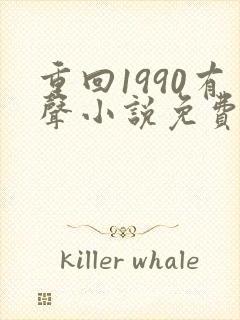 重回1990有声小说免费听