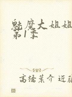 魅魔大姐姐动漫第1季封面