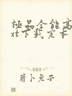 极品全能高手txt下载完本