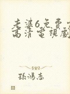 老婆6免费完整高清电视剧看