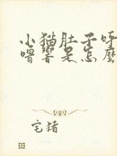 小猫肚子呼噜呼噜响是怎么回事