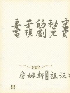 妻子的秘密韩国电视剧免费完整观看