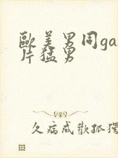 欧美男同gay片猛男封面