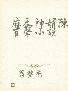 麻衣神婿陈黄皮有声小说