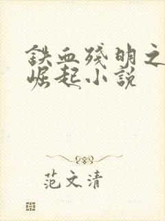 铁血残明之南洋崛起小说