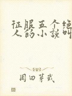 征服五个绝色美人的小说叫什么