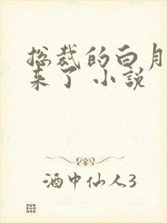 总裁的白月光回来了 小说