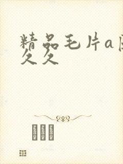 精品毛片a区久久久