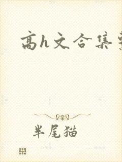 高h文合集系列