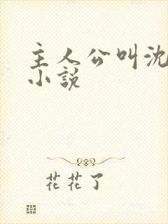 主人公叫沈默的小说