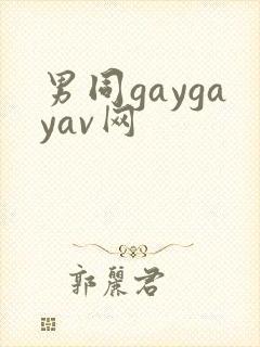 男同gaygayav网封面
