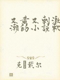 又黄又刺激又高潮的小说软件