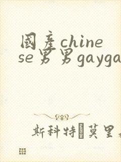国产chinese男男gaygay免费观看