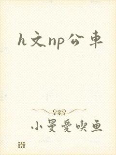 h文np公车