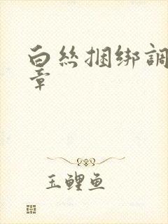 白丝捆绑调教文章封面