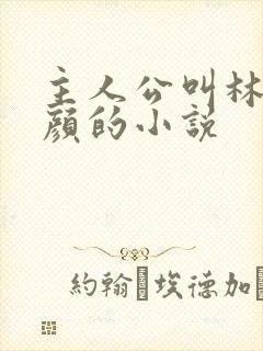 主人公叫林阳苏颜的小说