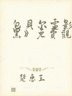 包贝尔电影《打黑》免费观看