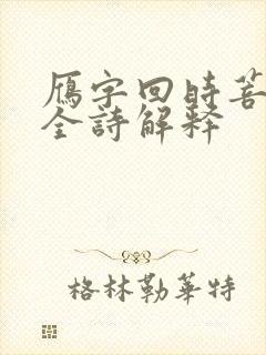 雁字回时菩提下全诗解释