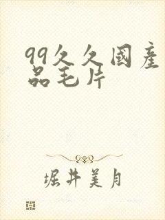 99久久国产精品毛片封面