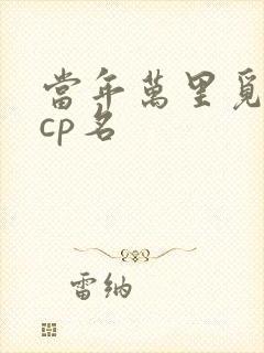 当年万里觅封侯cp名