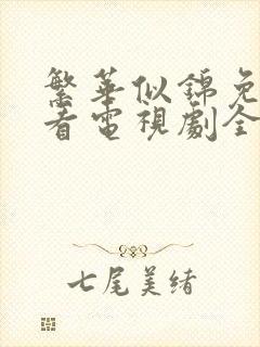 繁华似锦免费观看电视剧全集播放
