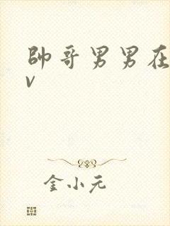 帅哥男男在线gv