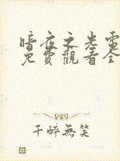 暗夜之光电视剧免费观看全集高清