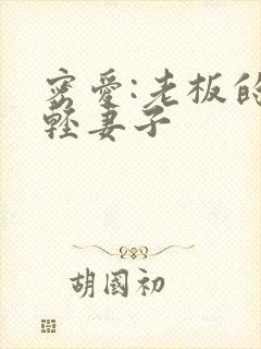 密爱:老板的年轻妻子封面