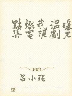 点燃我温暖你全集电视剧免费观看