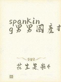 spanking男男国产打屁股网站