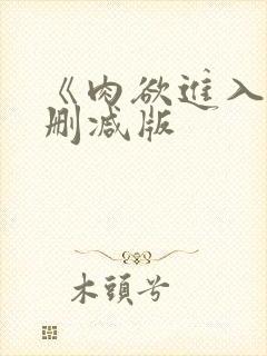 《肉欲进入》无删减版