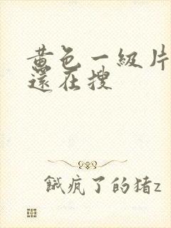 黄色一级片大家还在搜