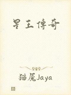 星王传奇