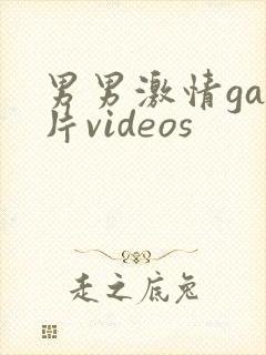 男男激情gay片videos