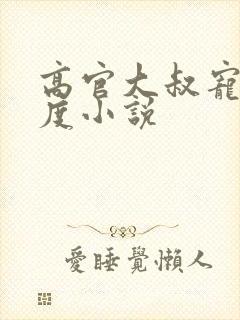 高官大叔宠妻无度小说封面